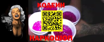 МДПВ Камень-на-Оби