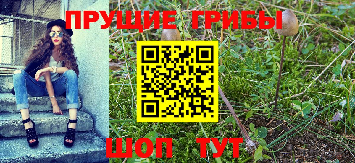 Галлюциногенные грибы Psilocybe  Вход с VPN  Псилоцибиновые грибы прущие грибы  Карпинск 