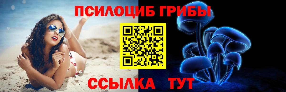 Псилоцибиновые грибы мухоморы Карпинск